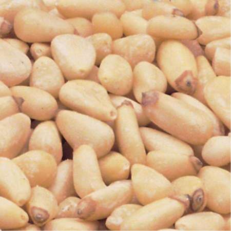BAKERS SELECT BS Pine Nuts Raw 5lbs 9618096